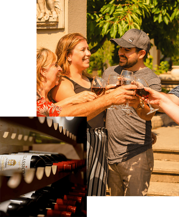 Vignoble Carpinteri - Dégustation de vin